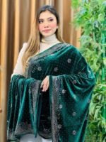 Royal Singapore Velvet Fabric - Image 3